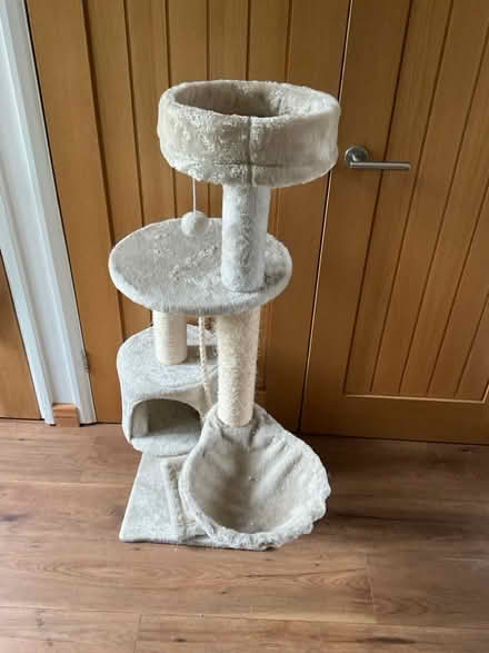 Photo of free Cat Tower (Crown Wood RG12) #1