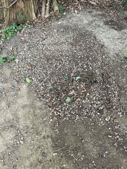 Photo of free Garden stones (Horley RH6) #1