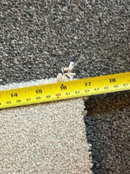 Photo of free Carpet off cut (High Wycombe HP13) #3