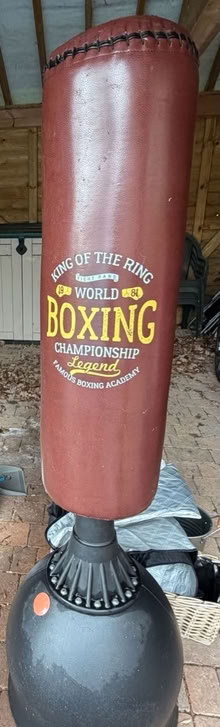 Photo of free Punch Bag (HP2 7) #1