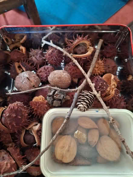 Photo of free Concord etc (GL51) #1