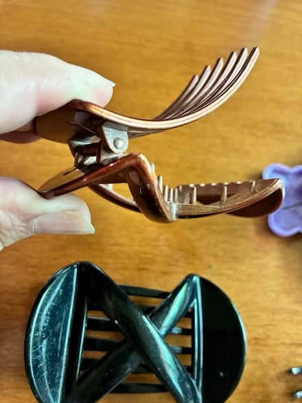 Photo of free Hair Clips (Southeast Sunnyvale) #2