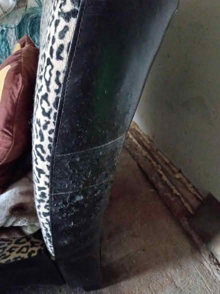 Photo of free Lounge chair (South side) #2