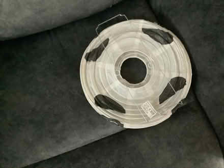 Photo of free Paper panda lampshade (Rackheath NR13) #4