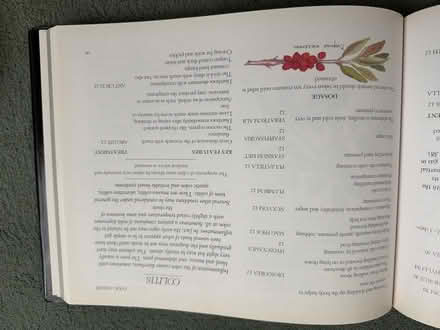 Photo of free The family guide to Homeopathy (Welling DA16) #3