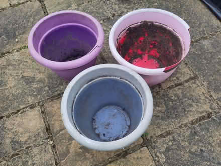 Photo of free Large plastic plant pots (Tattenhoe MK4) #2
