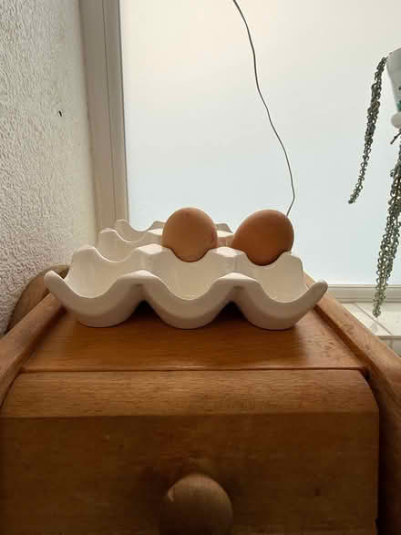Photo of free Ceramic egg rack (Burneside LA9) #2