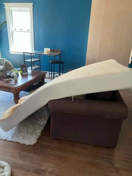 Photo of free Full-size Mattress (Arboretum) #3