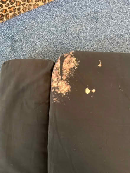 Photo of free Soft single foldout ready bed (Emerson's Green BS16) #4