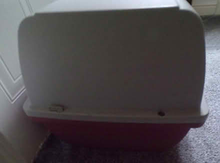 Photo of free Large Pet Carrier - No Handle (Wistaston) #4
