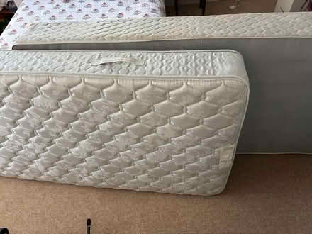 Photo of free Twin Bed with headboard (Bethesda/Rockville) #2