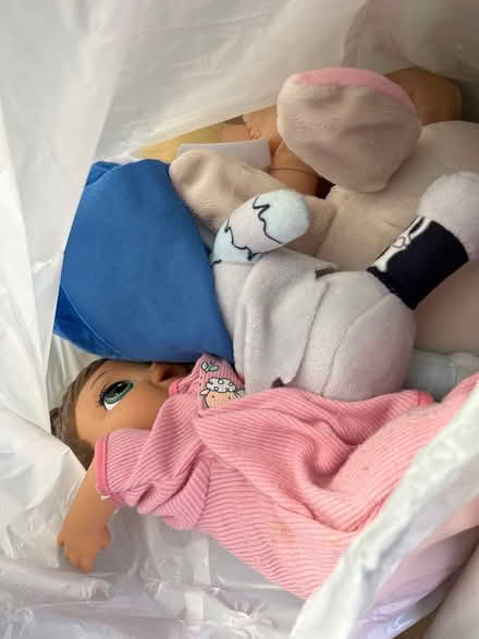 Photo of free Kids toys/dolls (Oradell) #3