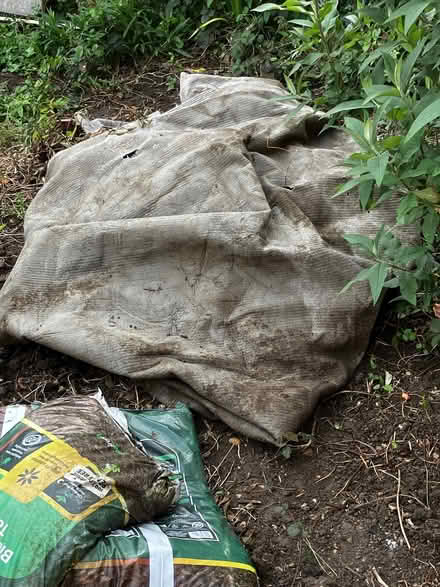 Photo of free Old carpet scraps for gardens (Walton Manor OX2) #2
