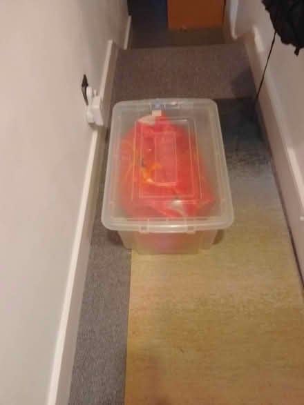 Photo of free Crafts, games, cat toys in big box (Tooting SW17) #4