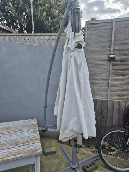Photo of free Banana umbrella outdoor (Medway/kent) #4