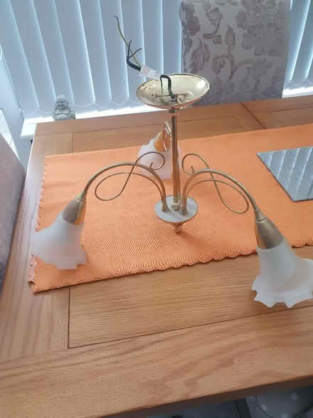 Photo of free Ceiling lights (Elstow MK42) #1