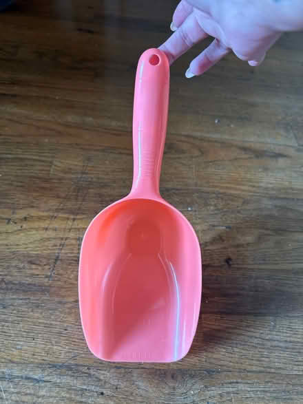 Photo of free Large Pet Food Scoop (Clason Point Bronx NY) #1