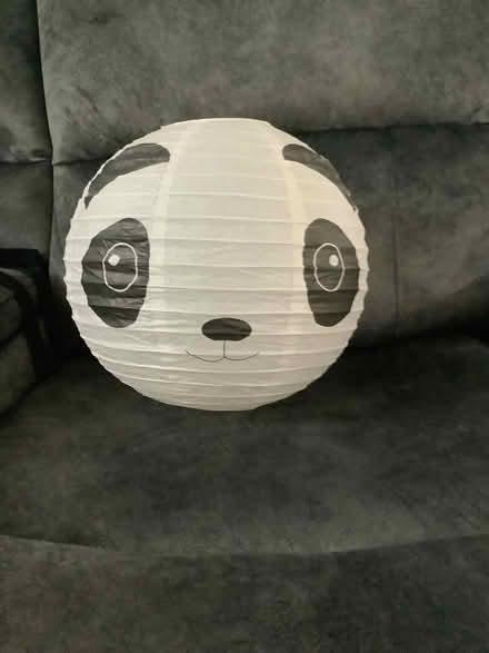 Photo of free Paper panda lampshade (Rackheath NR13) #1