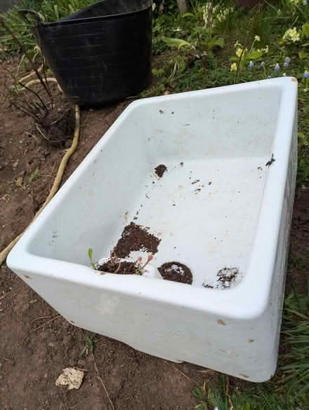 Photo of free Belfast sink planter (Hitchin, SG5) #2
