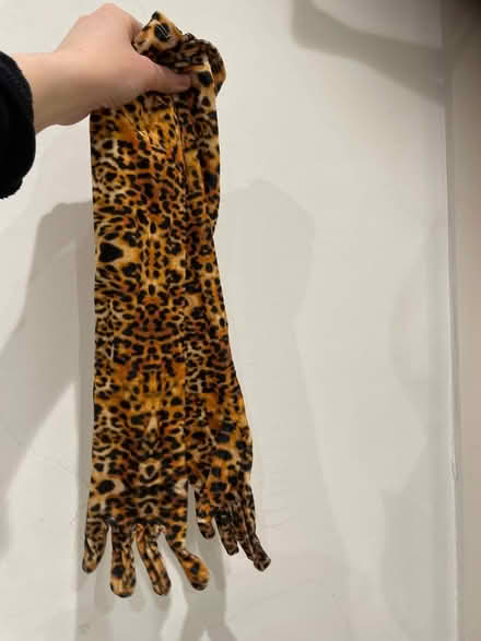 Photo of free Tiger hands (G429QG Southside) #1