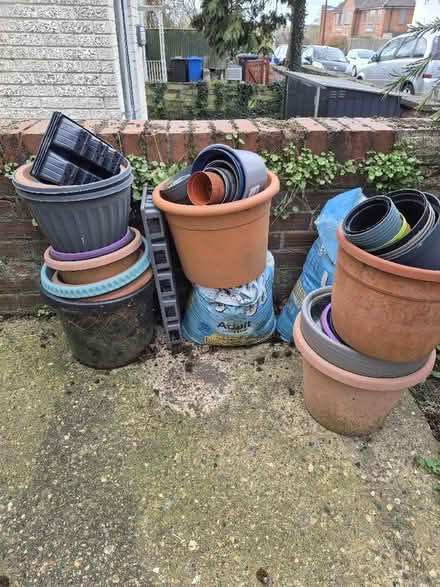 Photo of free Plant pots (Earlham NR5) #1