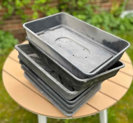 Photo of free 8 seed trays (Buggs Bottom RG4) #1