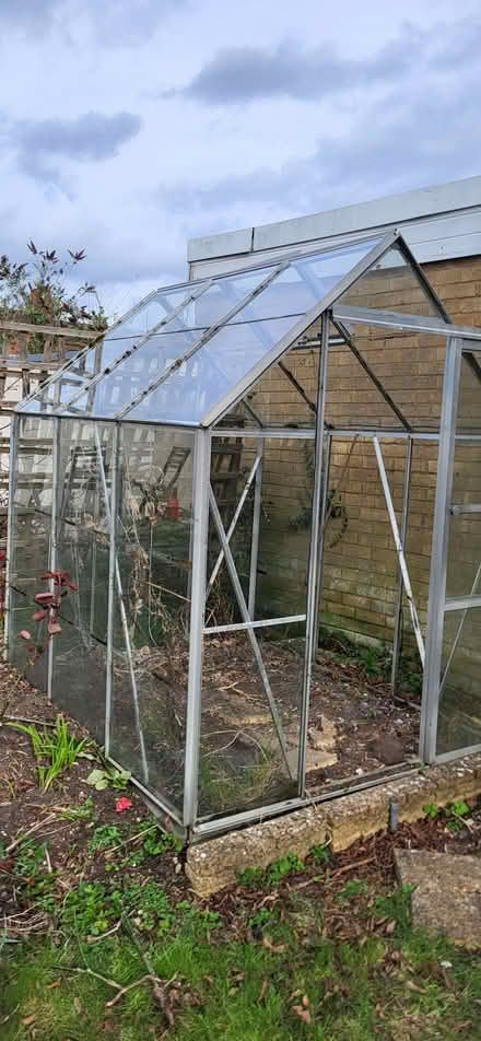 Photo of free Greenhouse (Irthlingborough NN9) #1