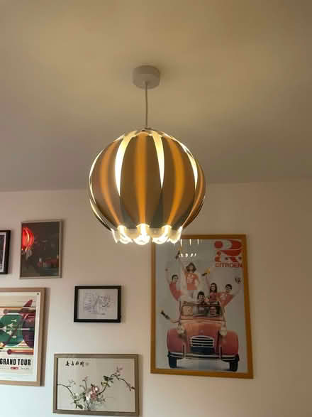 Photo of free Rare ‘Allium’ lampshades (Bearsted) #1
