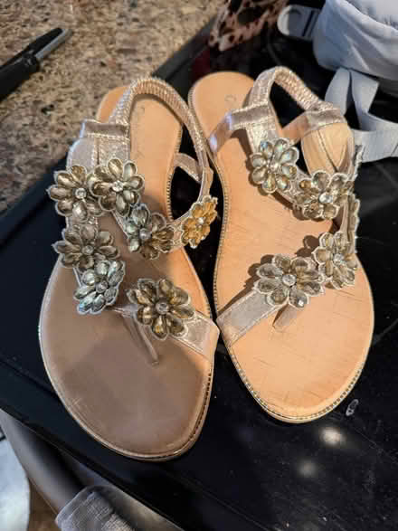 Photo of free Sandals (Near Lincoln Park) #1