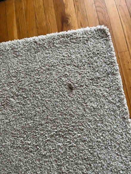 Photo of free IKEA rug (Mantua) #2