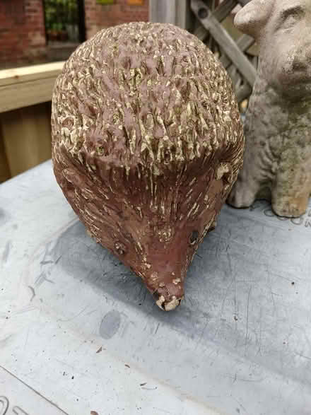 Photo of free Garden ornaments dog and hedgehog (Bramley, Leeds LS13) #1
