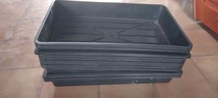 Photo of free Seed trays (Shenley Church End MK5) #1