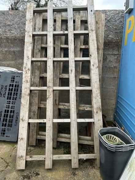 Photo of free Long pallets (Gedling NG4) #1