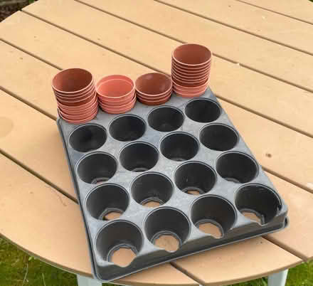 Photo of free Seedling tray (Buggs Bottom RG4) #1