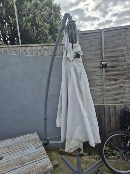 Photo of free Banana umbrella outdoor (Medway/kent) #1