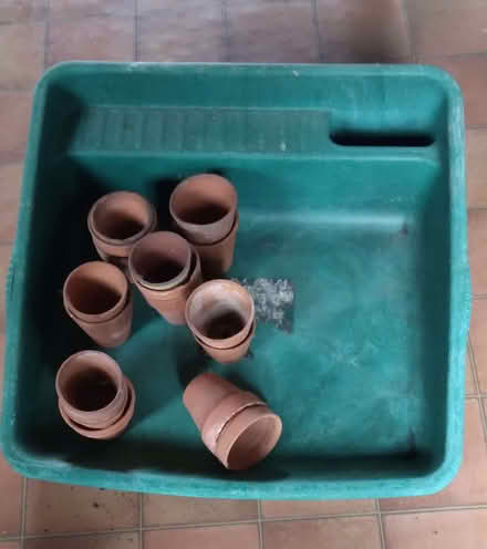 Photo of free Potting tray (Shenley Church End MK5) #1