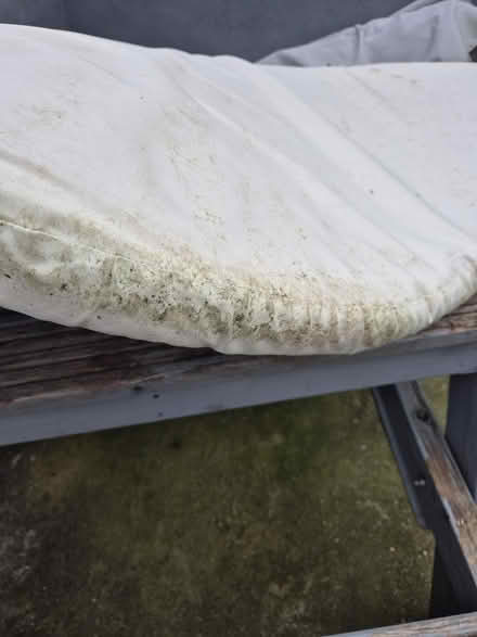 Photo of free 2 semi cirlce out door cushions (Medway/kent) #2