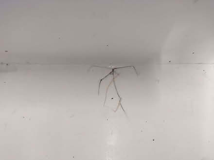 Photo of free Cool Box (Bowerham LA1) #3