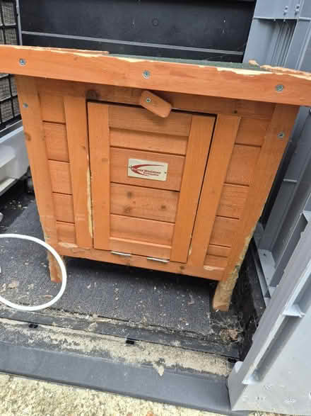 Photo of free Rabbit house (Medway/kent) #3
