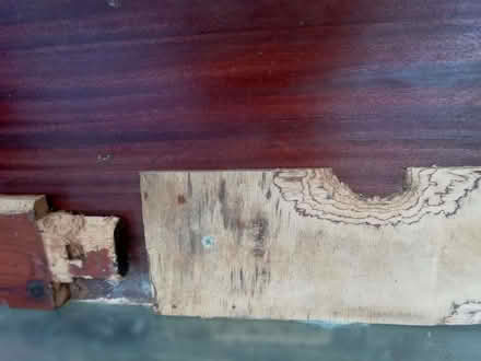 Photo of free Guinea Pig Hutch (Hoddesdon EN11) #4