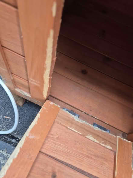 Photo of free Rabbit house (Medway/kent) #4