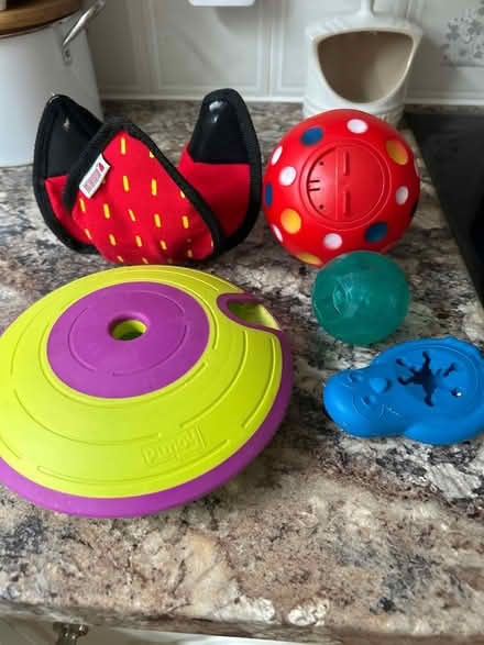 Photo of free Dog toys (Hastings. Broom grove TN34) #1