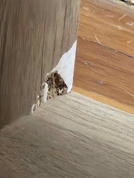 Photo of free Cube Shelf (Medford ma) #2