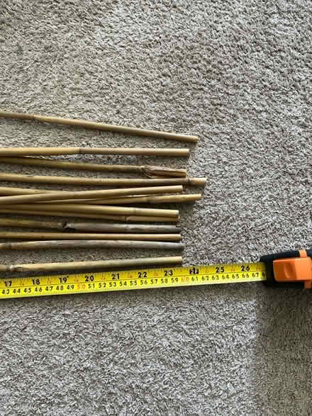 Photo of free Bamboo sticks for plants (Archway N19) #3