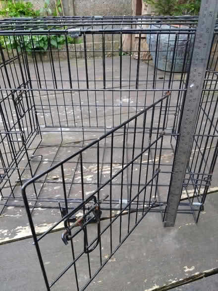 Photo of free Dog crate (Wallands Park BN7) #3