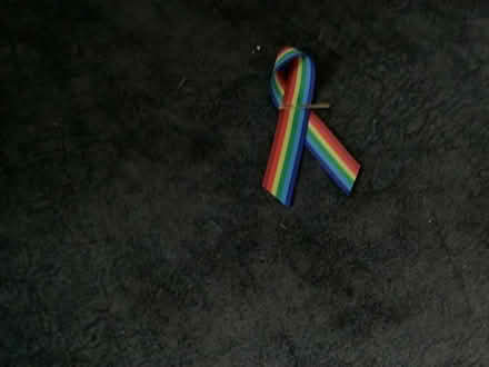 Photo of free Pride pin (Rackheath NR13) #1