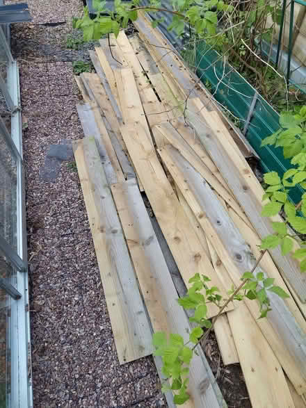 Photo of free Feather edge wood (Kitts Green B33) #3