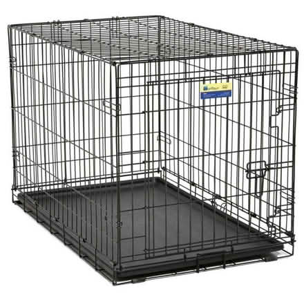 Photo of Dog Crate for Recovery (Malden) #1