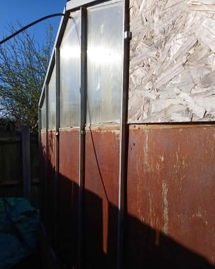 Photo of free Greenhouse 3FT by 6Ft (Cople) #3