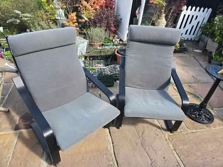 Photo of free A Pair IKEA Poang Chairs (Christchurch bh23) #1